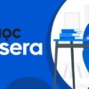 Divine Shop Coursera 14882