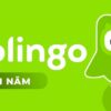 Divine Shop Duolingo 1 Nam 38503