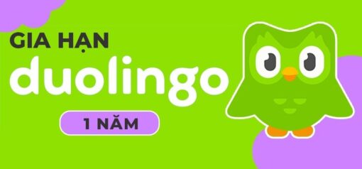 Divine Shop Duolingo Gia20HE1BAA1n 1 Nam 35426