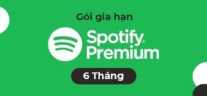Divine Shop Goi Gia Han Spotify 6 Thang 95991