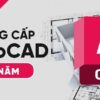 Divine Shop Nang Cap Auto moi 69740