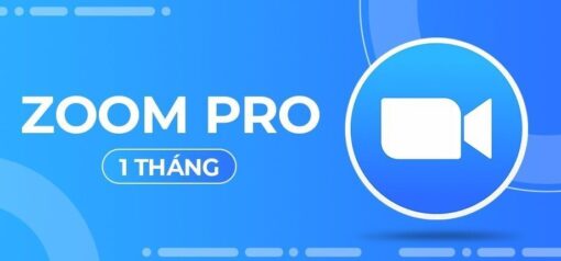 Divine Shop Nang cap Zoom Pro 1 thang 80331258 21203