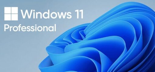 Divine Shop Windows 11 Pro 222 15362