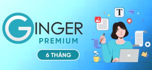Ginger20Premium 57276