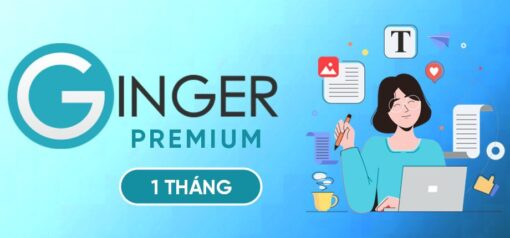 Ginger20Premium201m 65848