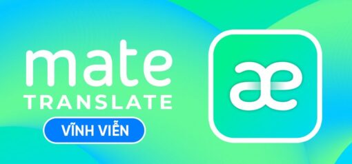 Mate20Translate 60991