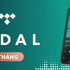 Tidal20HiFi1406